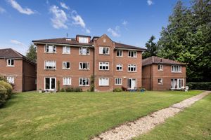 RE- click for photo gallery